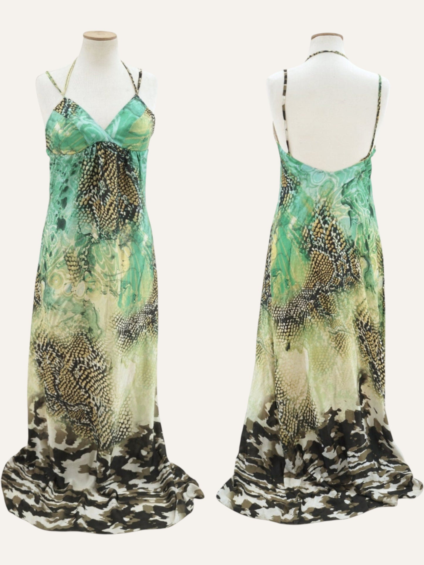 Aslanis Vintage Tropical Print Goddess Dress