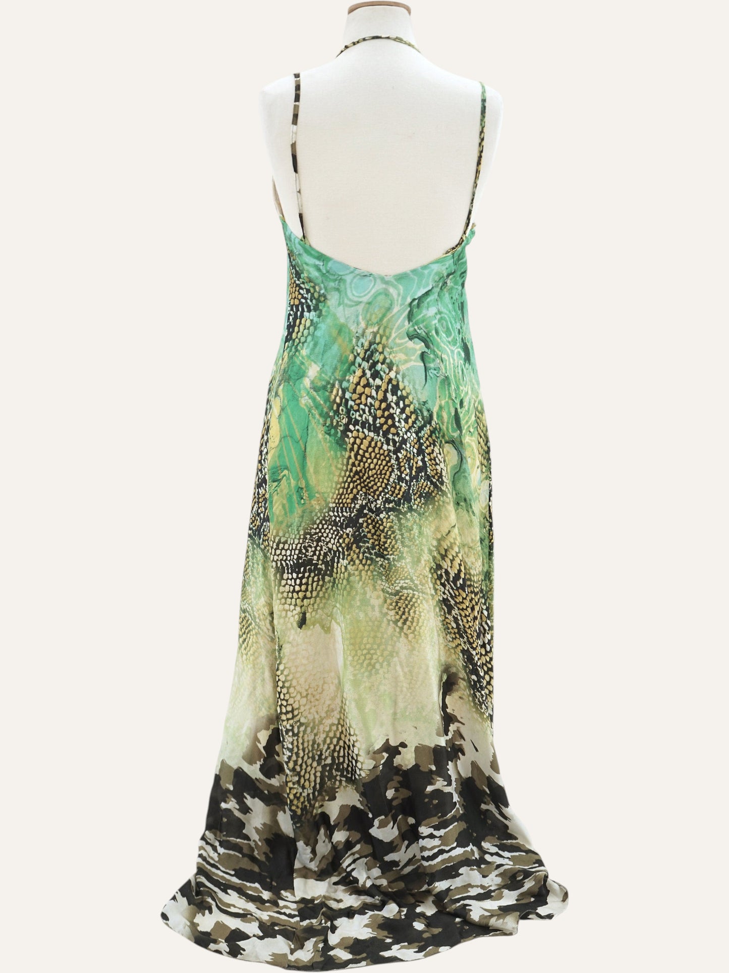 Aslanis Vintage Tropical Print Goddess Dress